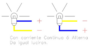 Luciran las bombillas.jpg