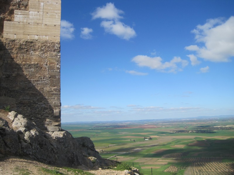 vista desde alcazaba.jpg