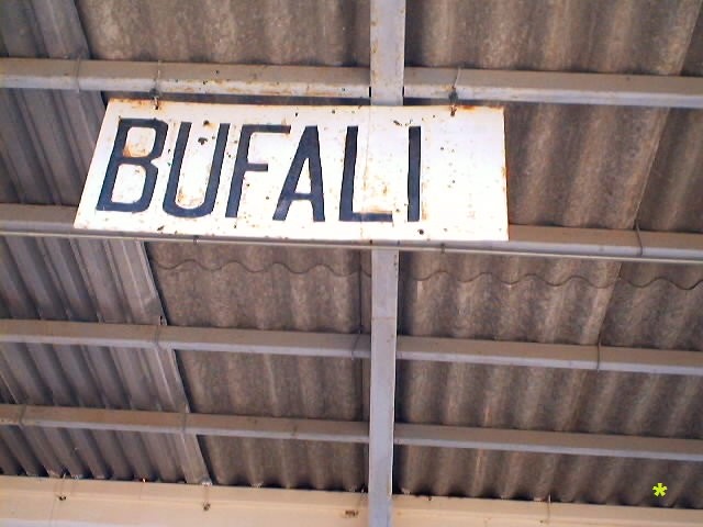 Bufalí I.jpg