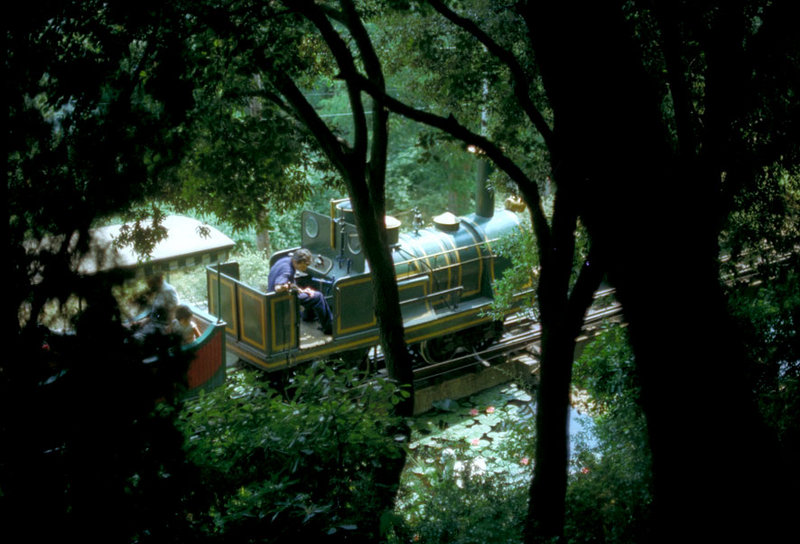 2308_71_Tibidabo-Dschungel.jpg