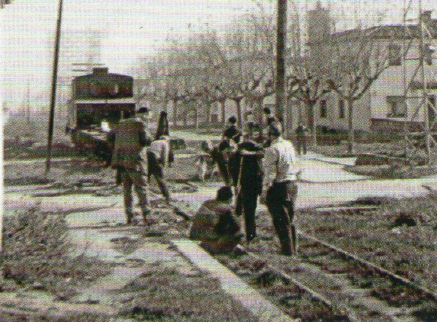 Tren OLOT_10.jpg