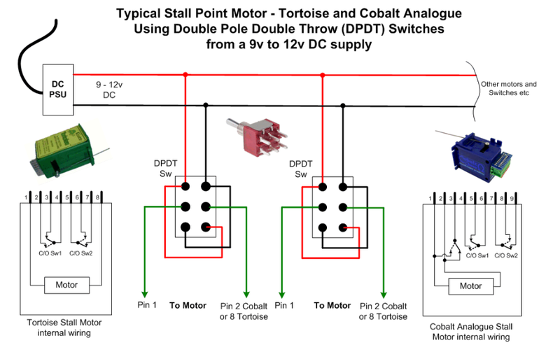 Tortoise2.png