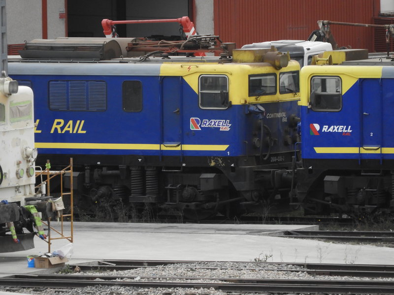 269-035-2022-02-24-Humanes Raxell Rail-DSCN4628.JPG