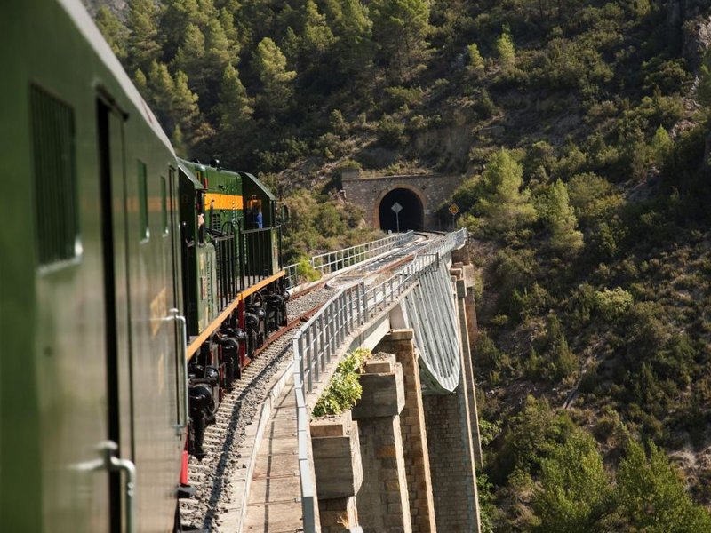 fotografia-tren-de-los-lagos-2.jpeg