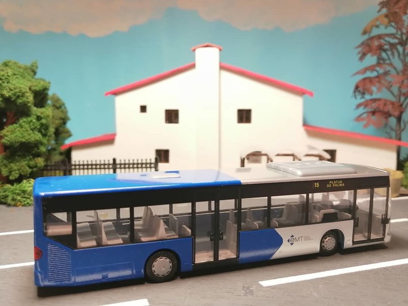 MB_CITARO_PALMA_3.jpg