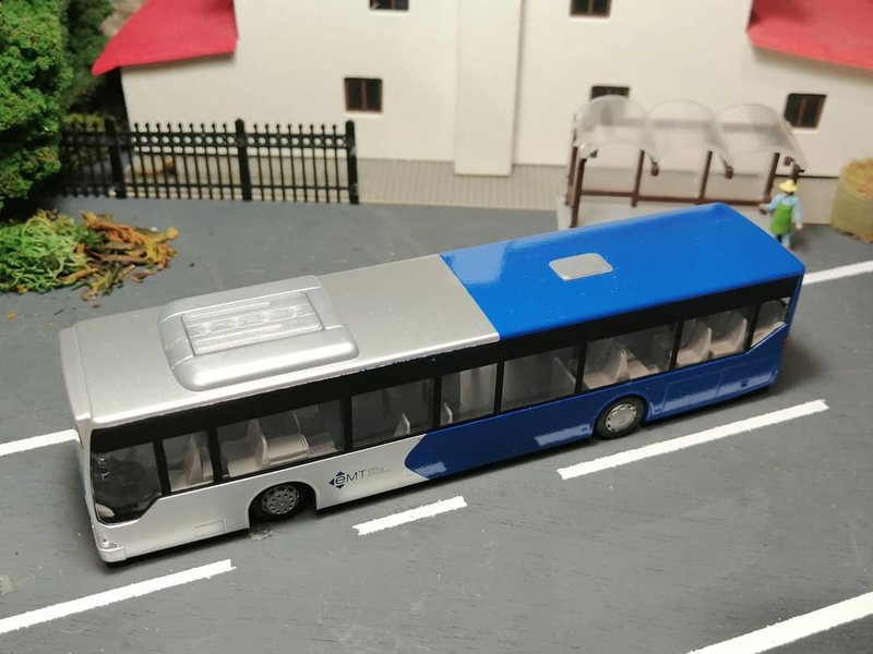 MB_CITARO_PALMA_5.jpg